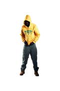 AURORA HOODIE